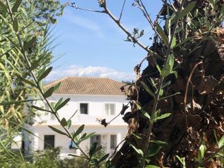 Manto Zentrum - Seminargruppen 