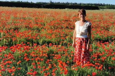 Die Provence Duft des Lavendels -  26.6.-6.7.26 