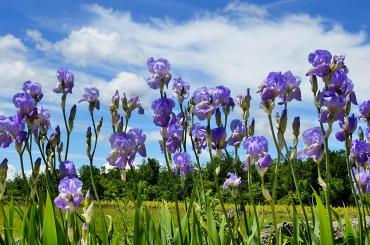 Provence Kulturreise - 6.10. - 16.10.25 