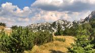 morepic-11