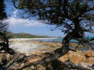 morepic-6